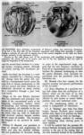 Bulova 1960 106.jpg